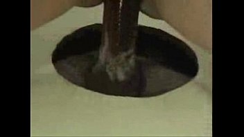 Sexo anal negra virgem