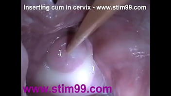 Creampie sperm