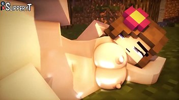 Minecraft sexo animation