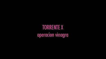 Baixar parodias animadas porno via torrents