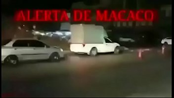 Novinhas fazendo sexo com macacos