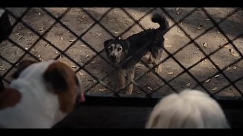 Baixar o filme a paixão de cristo dublado completo