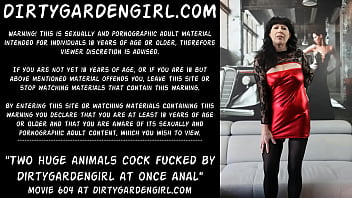 Pornô animais no sexo anal