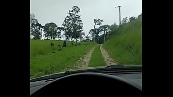 Em campo grande muljer pra sexo