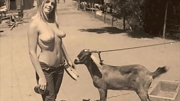 Sexo com mulheres peitudas loucas com animais