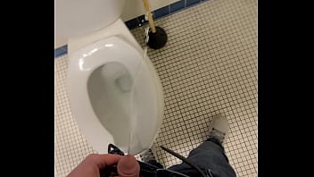 Mulher fazendo sexo no banheiro publico
