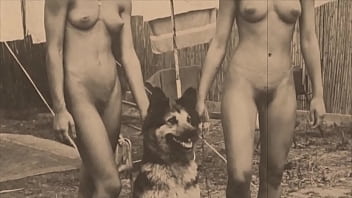 Sexo animal mulheres e animais